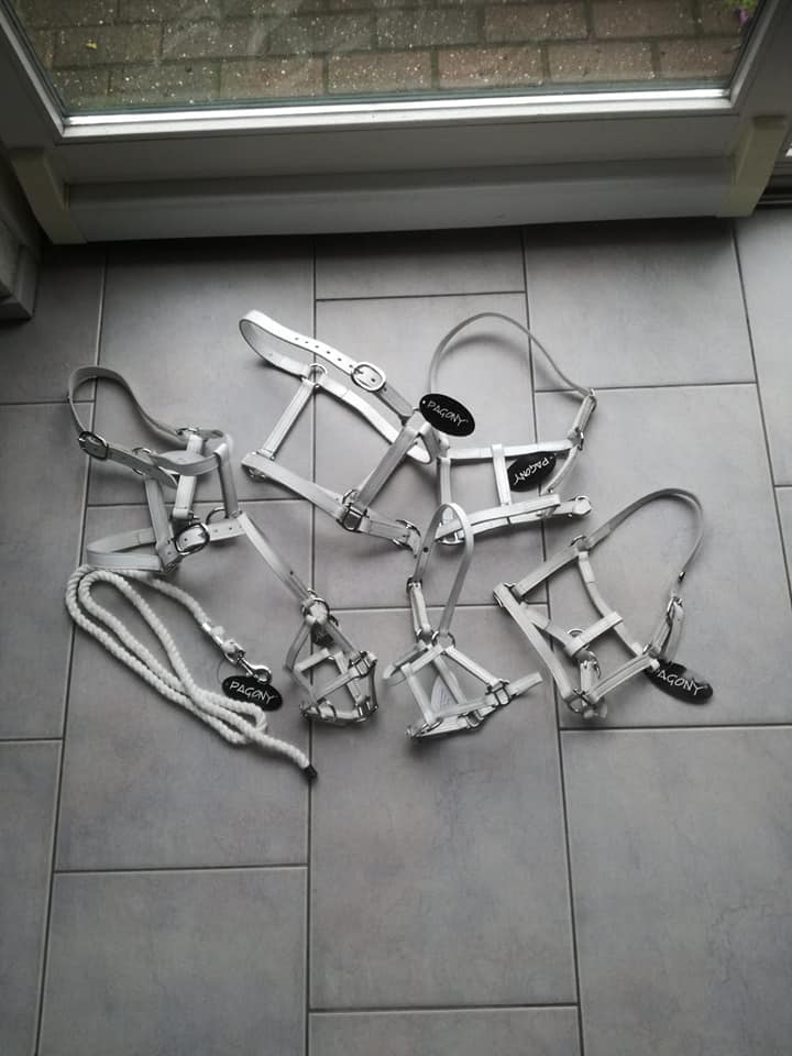 Pagony halsters