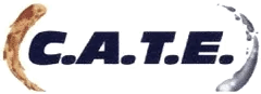 CATE ASSISTENZA RIPARAZIONE CONDIZIONATORI ARIA ELETTRODOMESTICI - LOGO