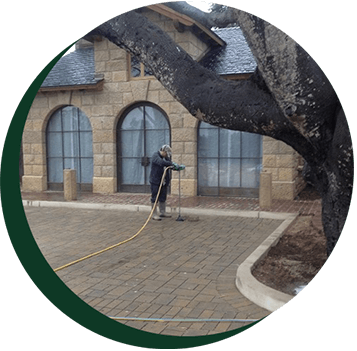 Pest Control & Fertilization - Fertilization in Santa Barbara, CA Pest Control & Fertilization - Fertilization in Santa Barbara, CA