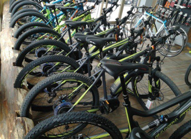 Biciclette a noleggio