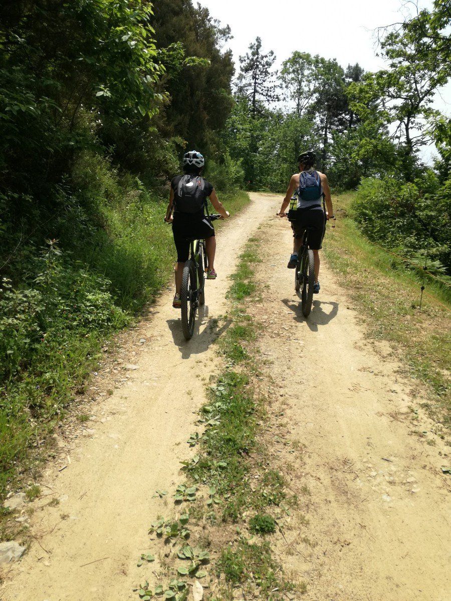 Coppia in escursione su biciclette