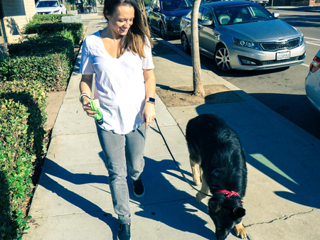 cheap dog grooming san diego photo