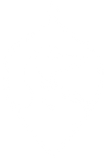 Logo icon
