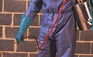 Pest control specialists