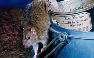 Mouse control