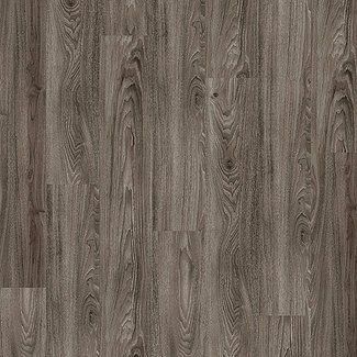 DL 3153 charcoal