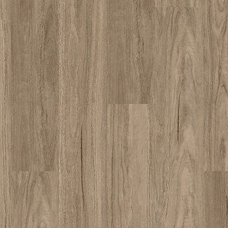 DLL 705 grey gum