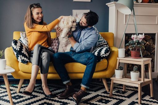 happy couple cuddles dog on the couch