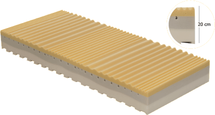 Ylang Basic