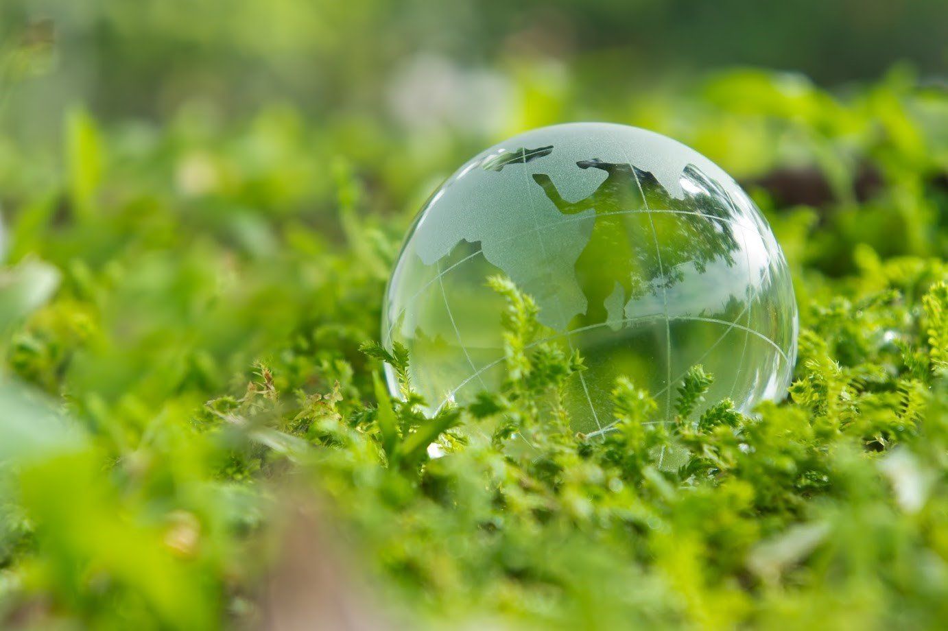 Close Up Photo Of A Transparent Globe — Denver, CO — Denver Oil Close Up Photo Of A Transparent Globe — Denver, CO — Denver Oil