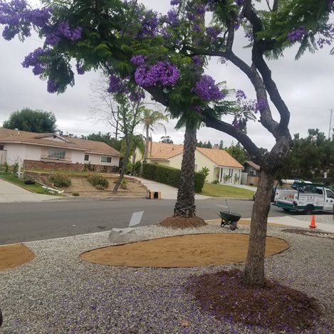 Tree Service — Beautiful Backyard Landscape in La Habra, CA Tree Service — Beautiful Backyard Landscape in La Habra, CA