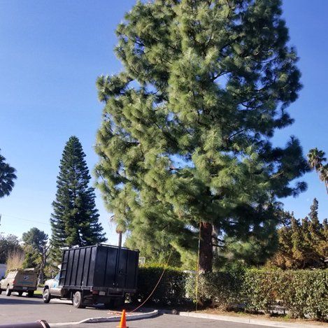 Sprinklers — Tree Service in La Habra, CA Sprinklers — Tree Service in La Habra, CA