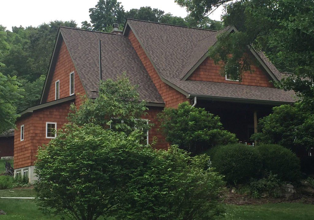house behind trees