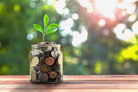 plant growing out of coins in a jar