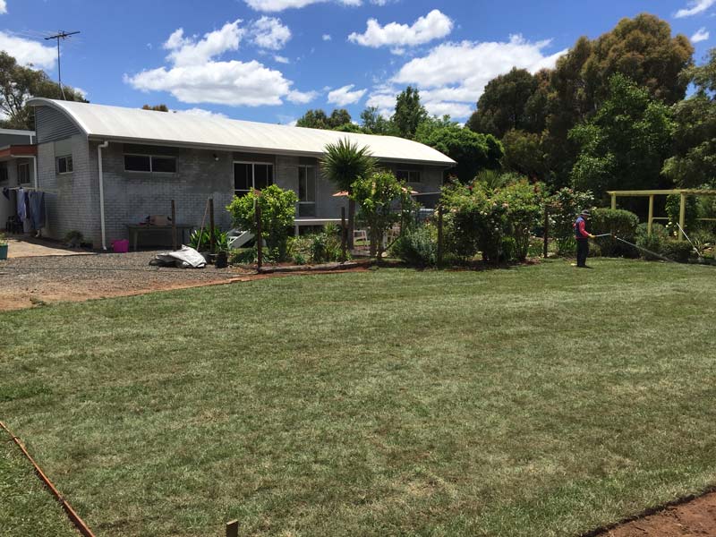 backyard