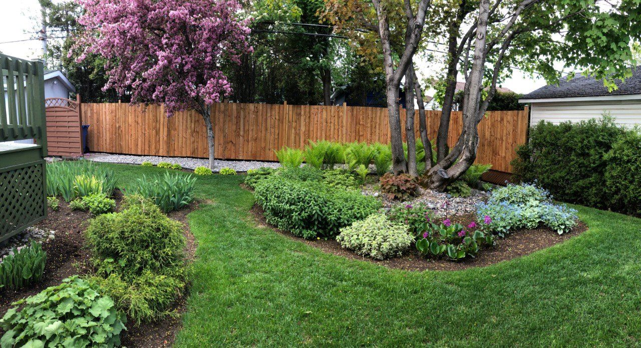Pelouse verdoyante luxuriante avec parterres de fleurs, arbre en fleurs et clôture en bambou dans un jardin.