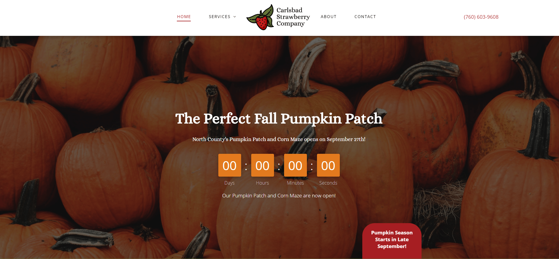 The perfect i 'm pumpkin patch website shows a bunch of pumpkins