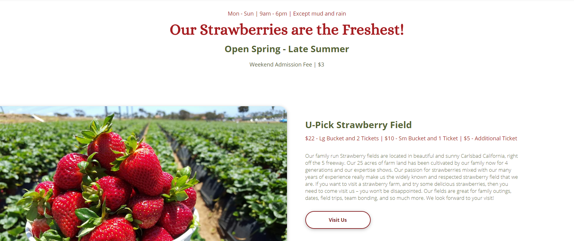 A bunch of strawberries in a bowl with a field in the background