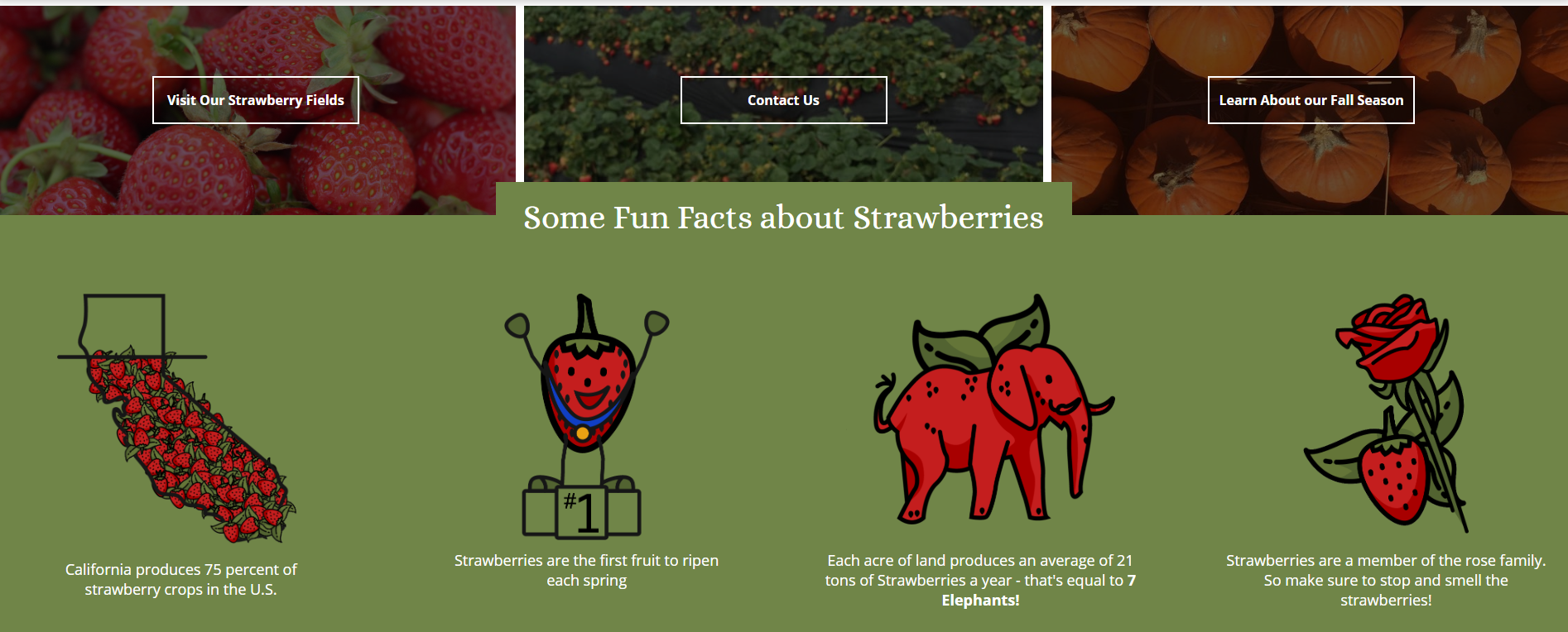 A picture of strawberries carrots and an elephant on a green background