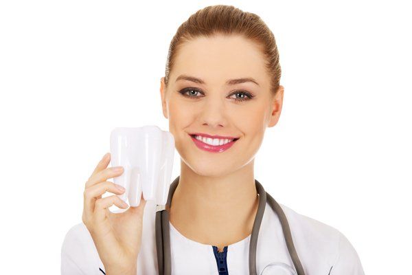 dentist holding large model tooth