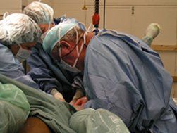 Surgery - Animal Clinic in Lebanon, MO