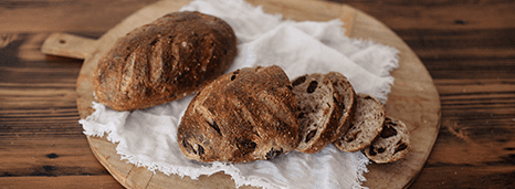 Fig multi seed