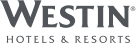 Lunch options