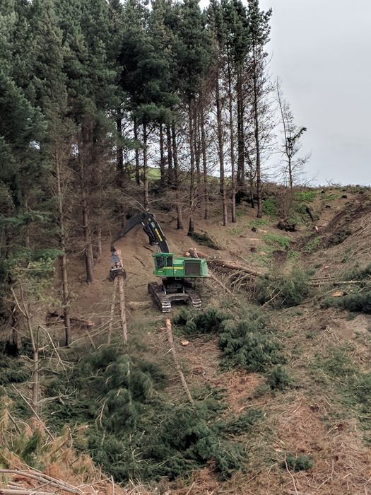 Tractor for professional tree service in Canterbury