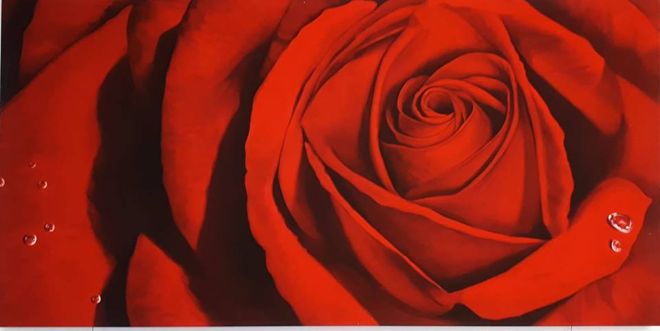 rosa