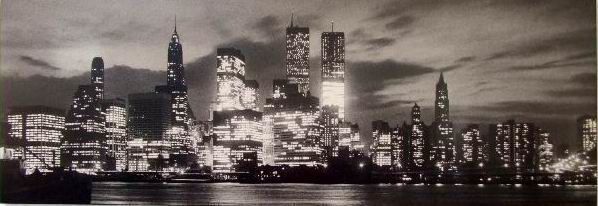 skyline notturno di new york