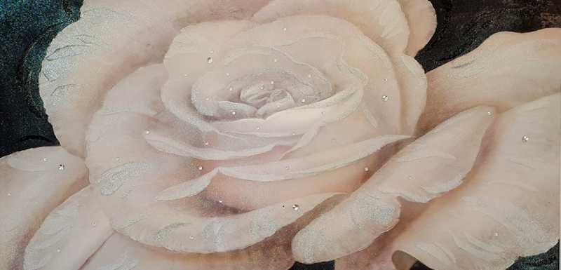 rosa bianca