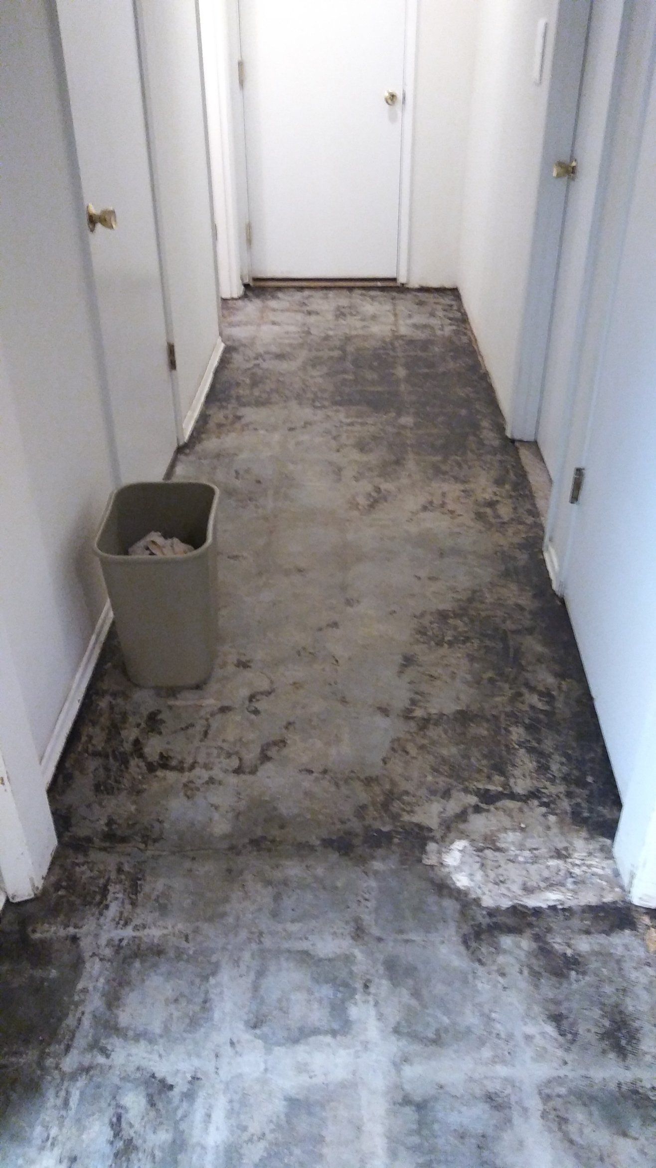 Narrow hallway with worn carpet removed, exposing rough subfloor and a small trash bin on the left