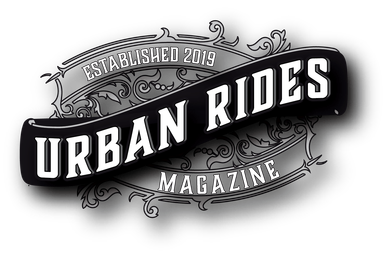 singlespeed urban bike TrackloX (OG Version - Midnight Mirage) - TLX20MV Category:E Bikes MTB Cross_0 Hubs HANDLEBARS Trixie Hunde Fahrradanhänger | Motor System:48V1200W