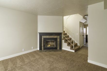 Vine Gate-Fire Place