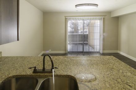 Vine Gate-Kitchen Sink