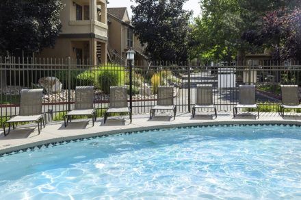 Vine-Gate-Pool 4