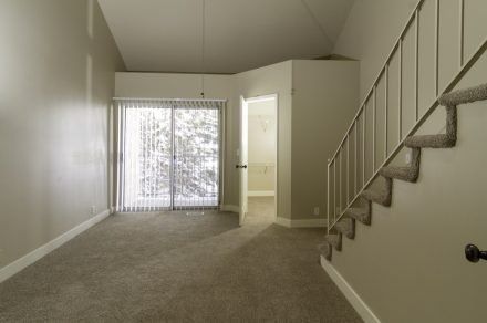 Vine Gate-Stairwell