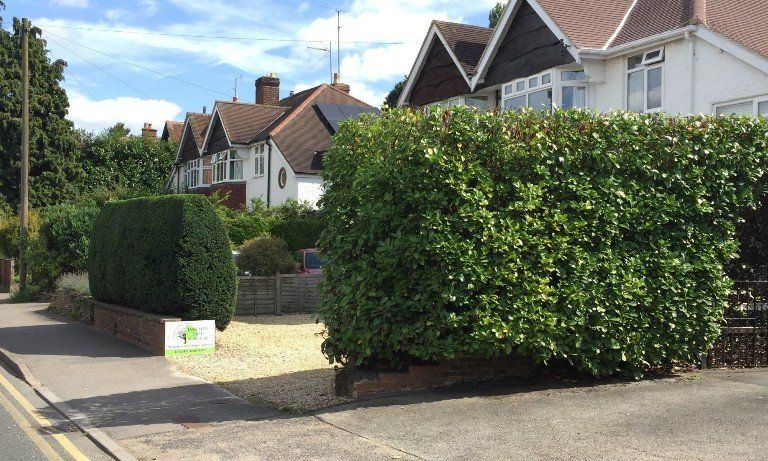 garden, tree and hedge maintenance