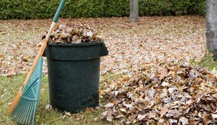 Garden clearance