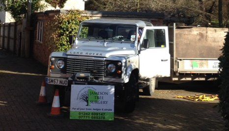 tree surgery service