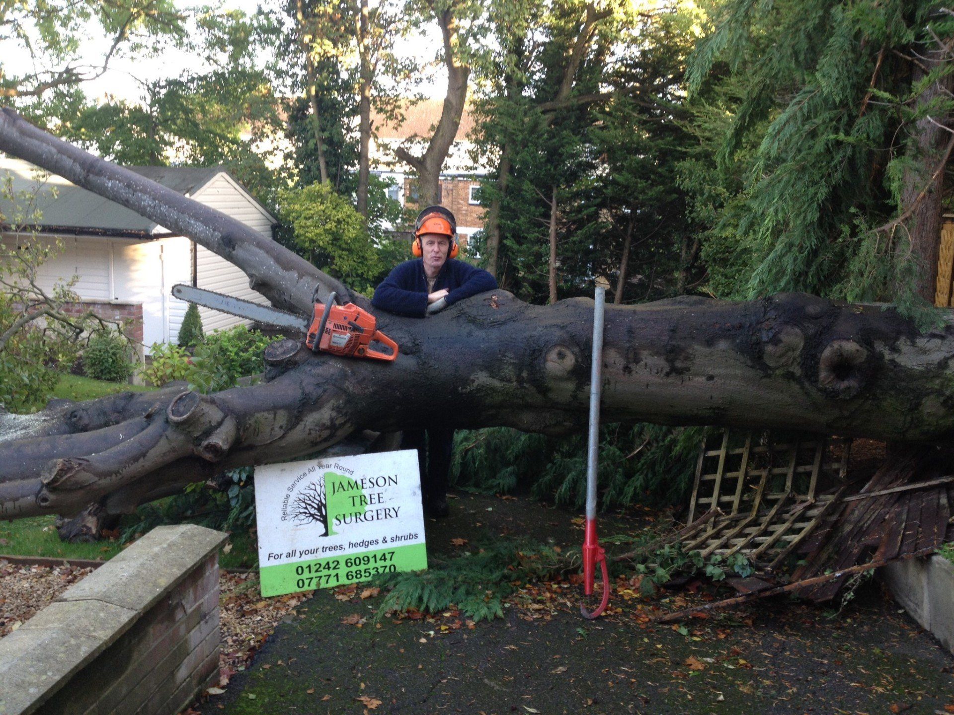 garden, tree and hedge maintenance