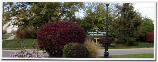A park with trees and bushes and a sign that says wood park