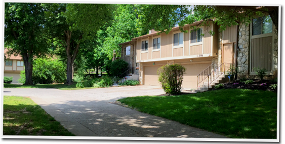 A house with a driveway and trees in front of it