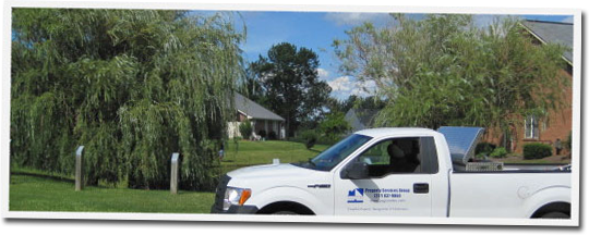 A white truck is parked in front of a willow tree