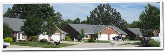 A row of houses in a residential area with trees in the background