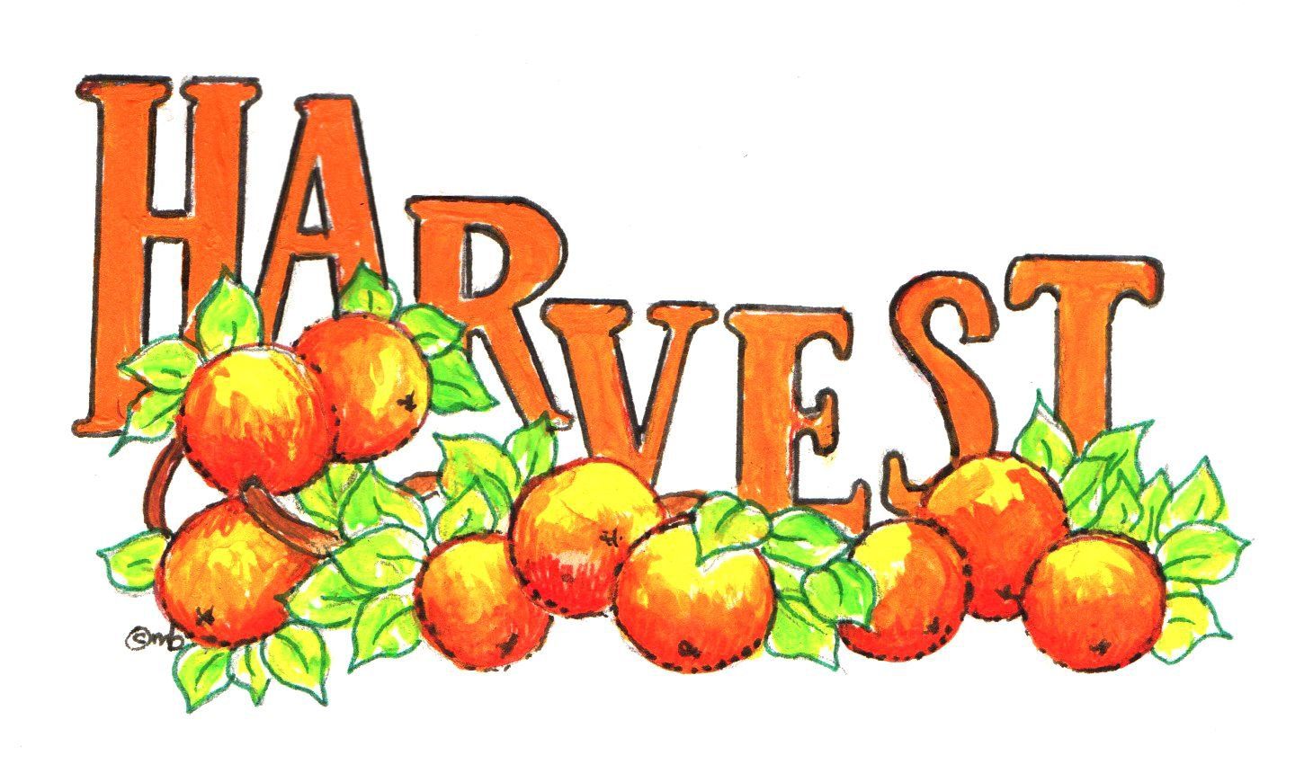 Harvest Festival artwork at St Mark's Church, Bedford