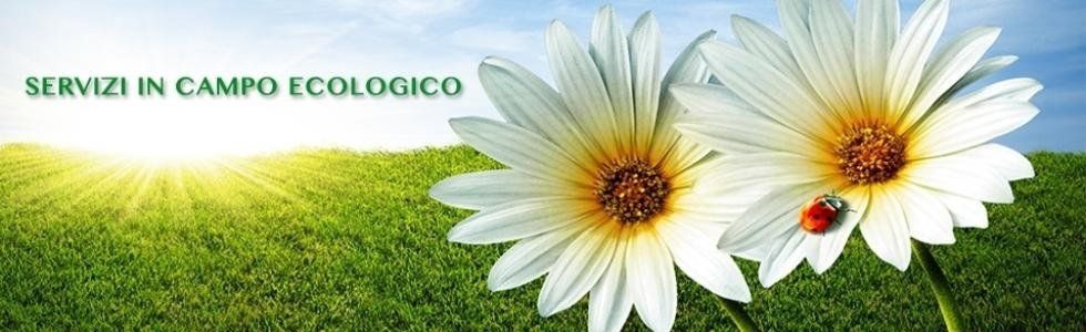 servizi in campo ecologico