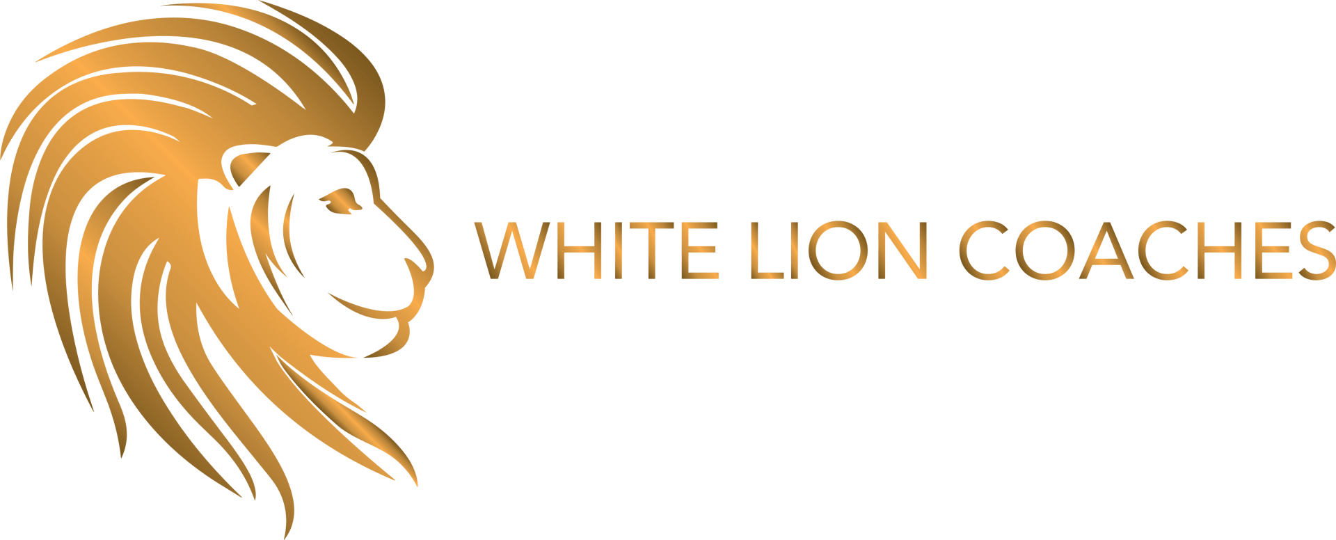 white lion coaches logo