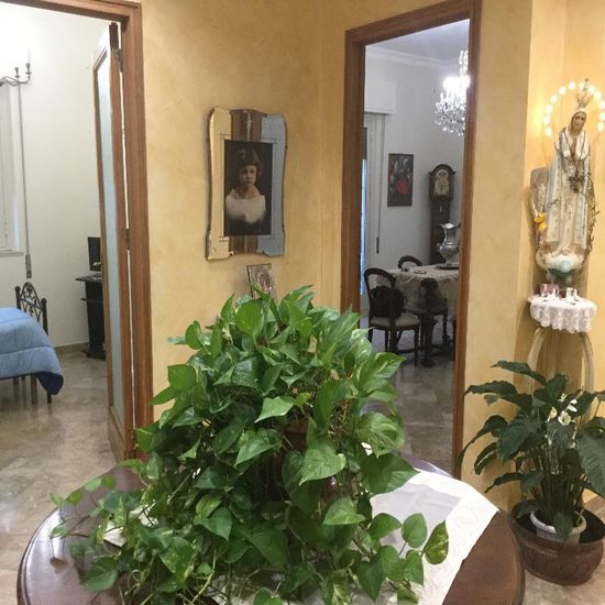 Corridoio interno con piante in vaso, opere d'arte alle pareti e una statua vicino a una porta.