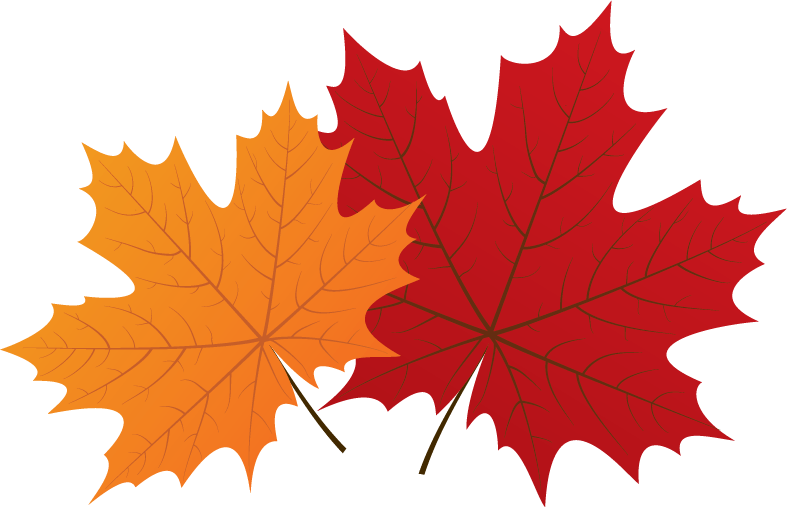 Maple Leaves Maple Leaves